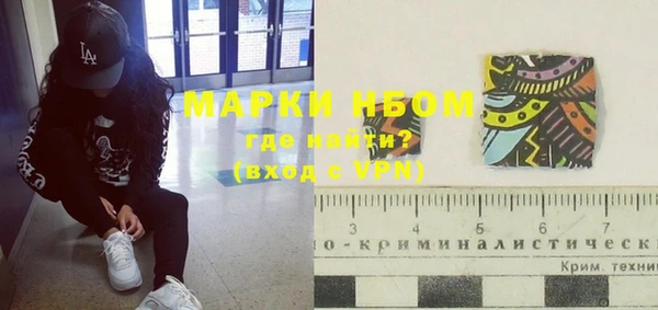 стафф Алексин