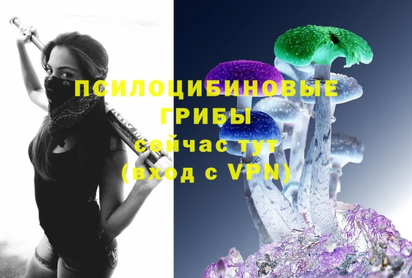 стафф Алексин