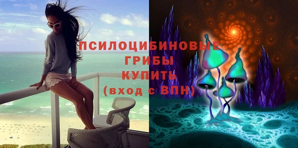 МДМА Алексеевка