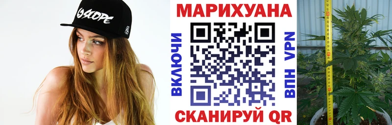 Каннабис Amnesia  дарнет шоп  Куровское 